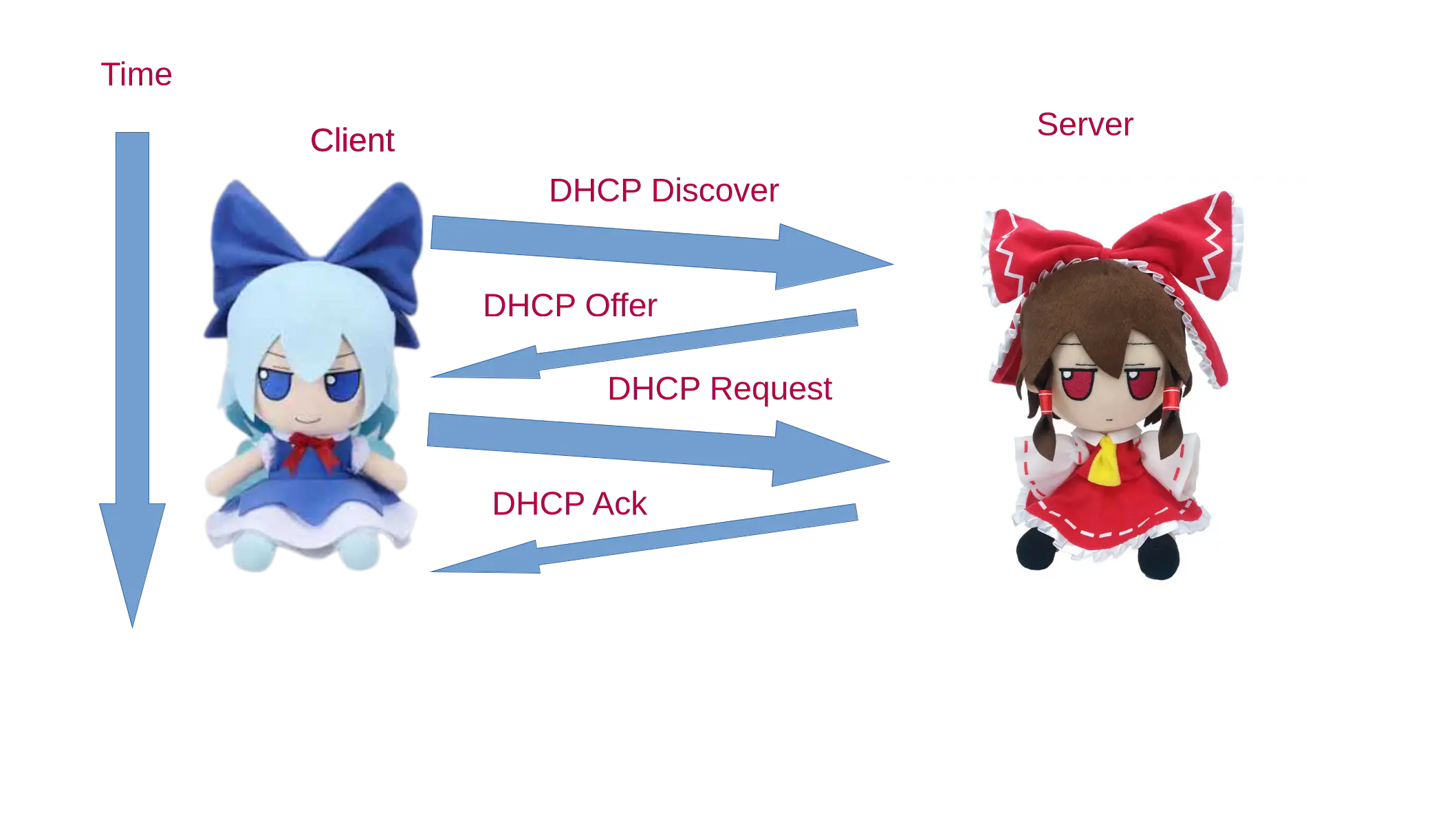 DHCP Protocol